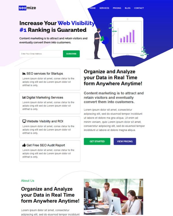 SEO Startup Landing Page