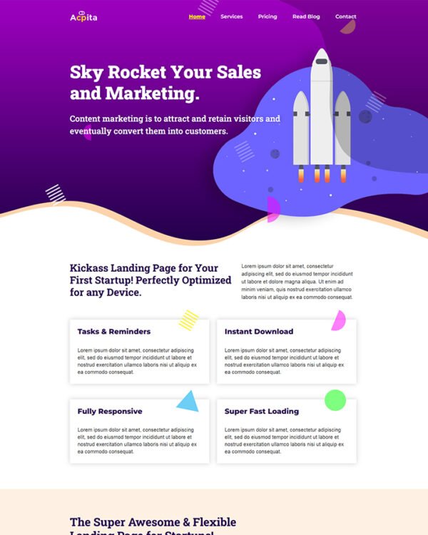 Startup Landing Page